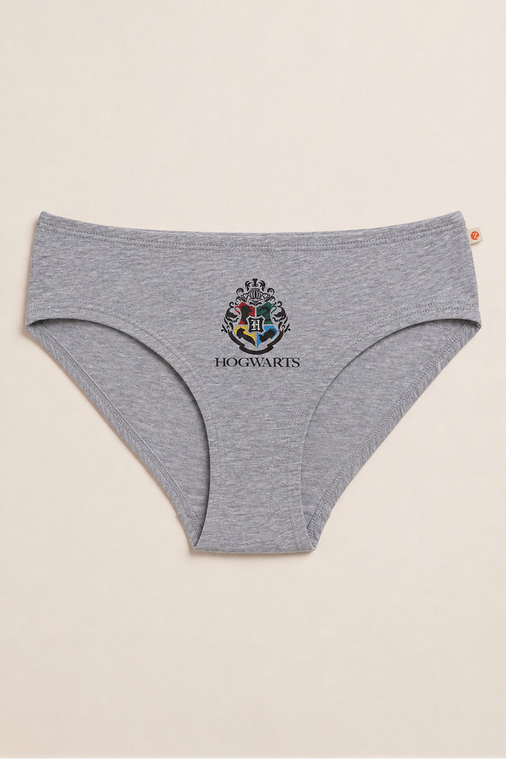 Zivame Girls Harry Potter Briefs (Pack of 2) - Multicolor — image 5
